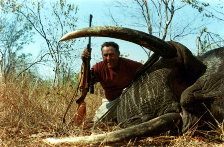 Elephant 1