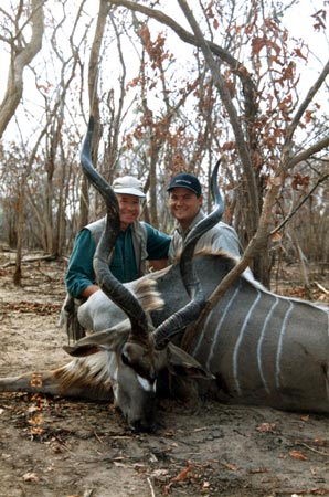 Greater Kudu 1