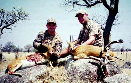 Oribi 1