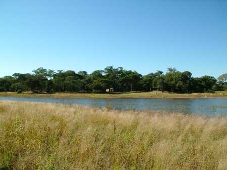 The camp